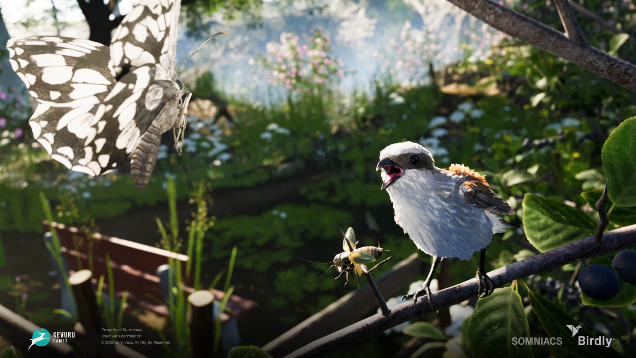 3D environment &ndash; Insects 3
