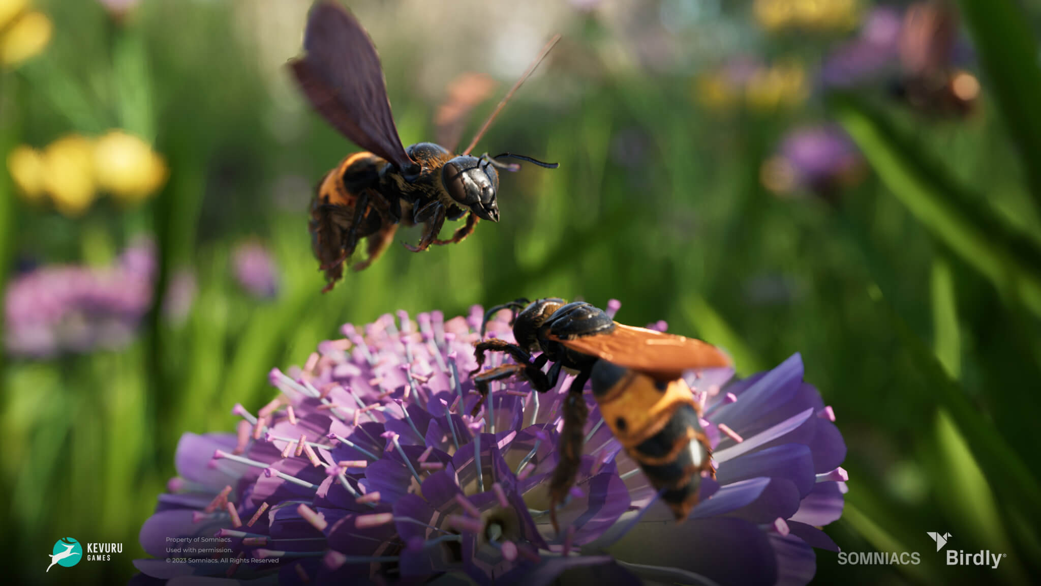 3D environment &ndash; Insects 5