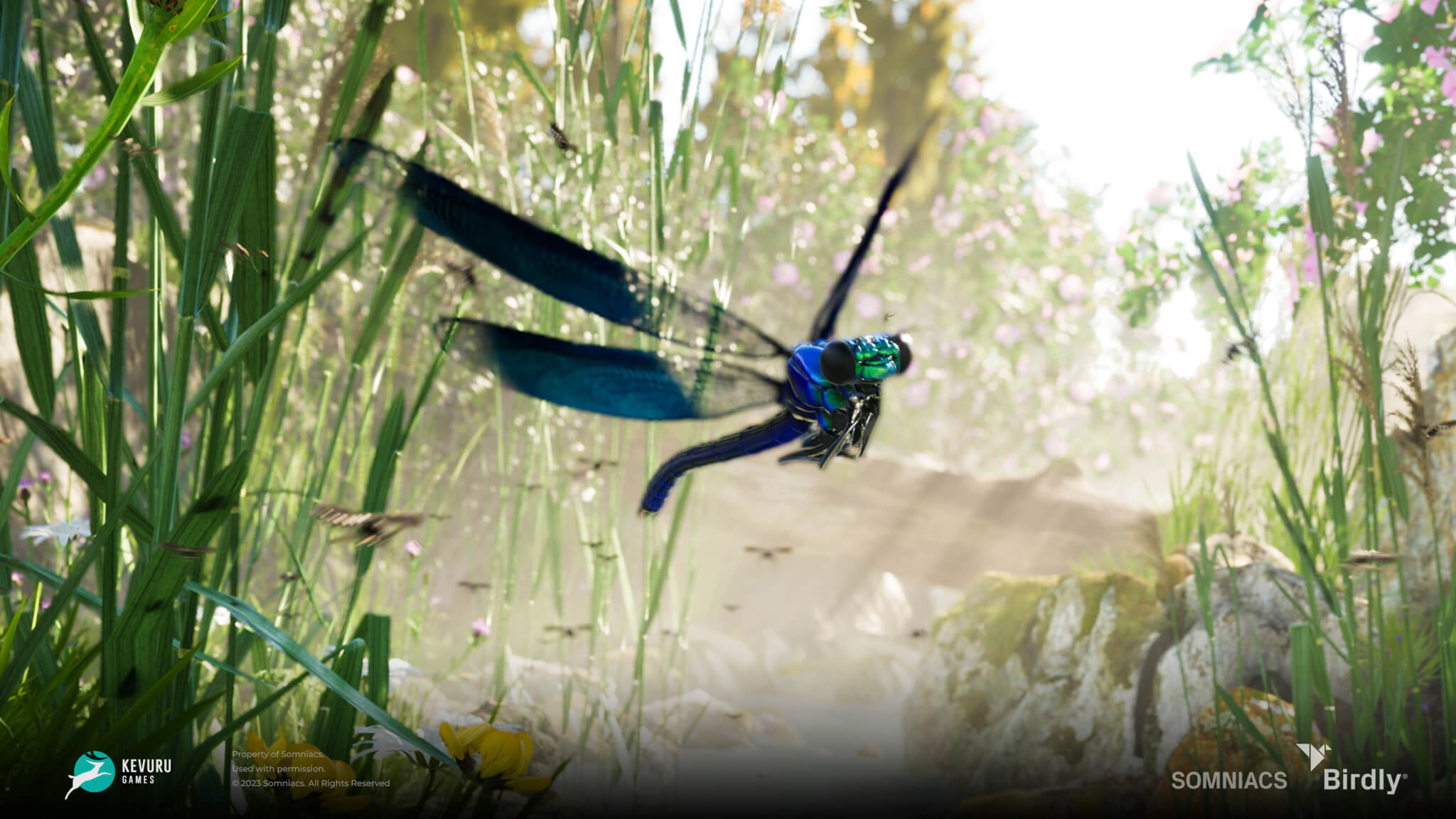 3D environment &ndash; Insects 4