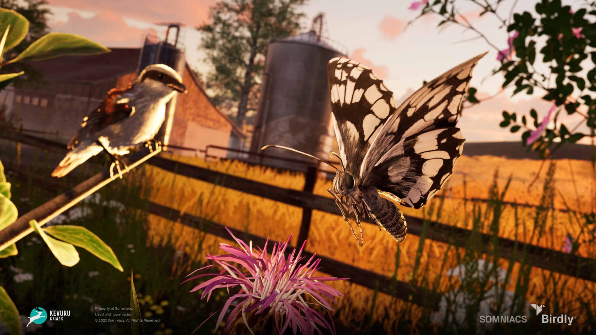 3D environment &ndash; Insects 2