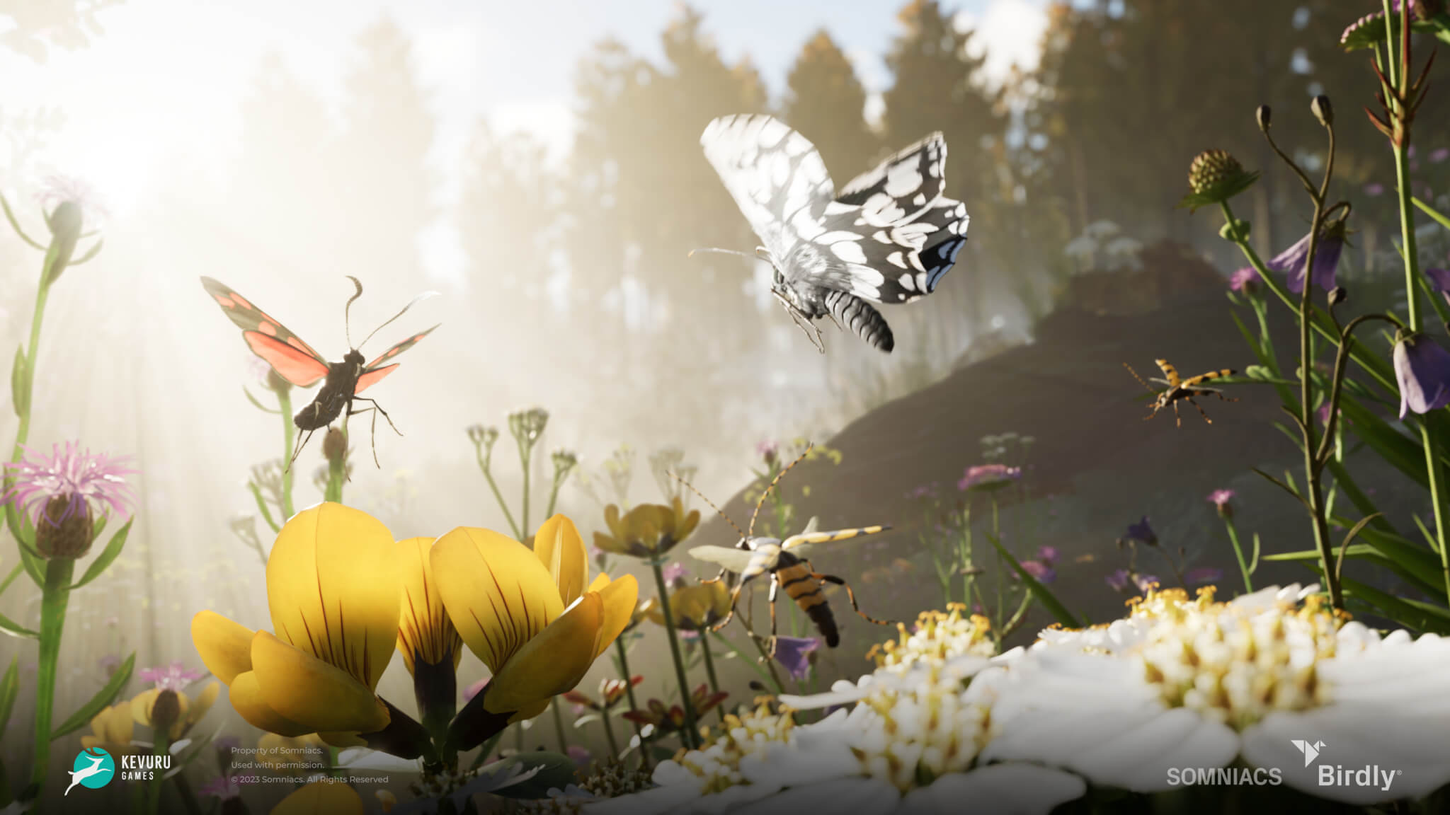 3D environment &ndash; Insects 8