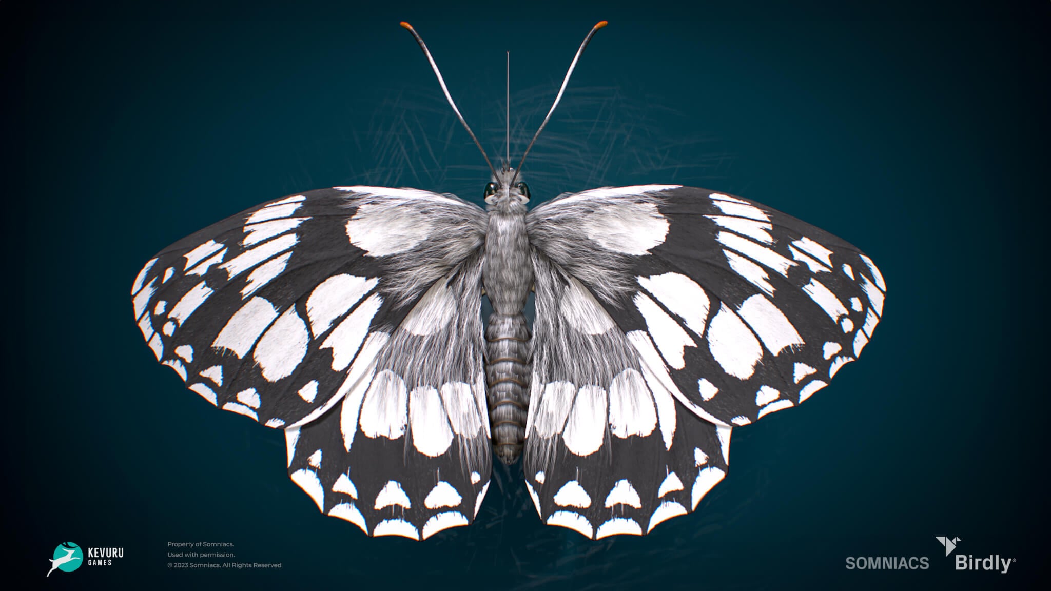 3D character &ndash; Butterfly